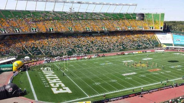 cá cược bóng bầu dục Grey Cup